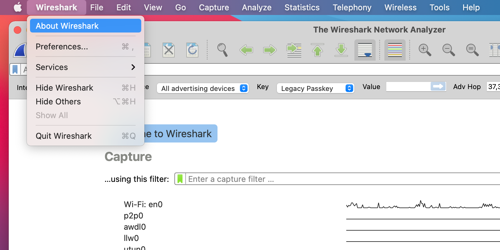 About Wireshark